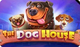 777 Casino giochi The Dog House